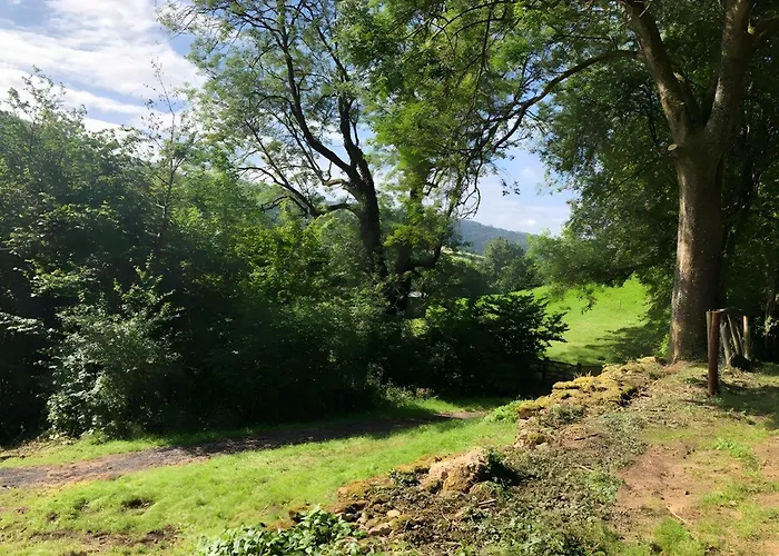 The Spring Slad Valley Cotswolds
