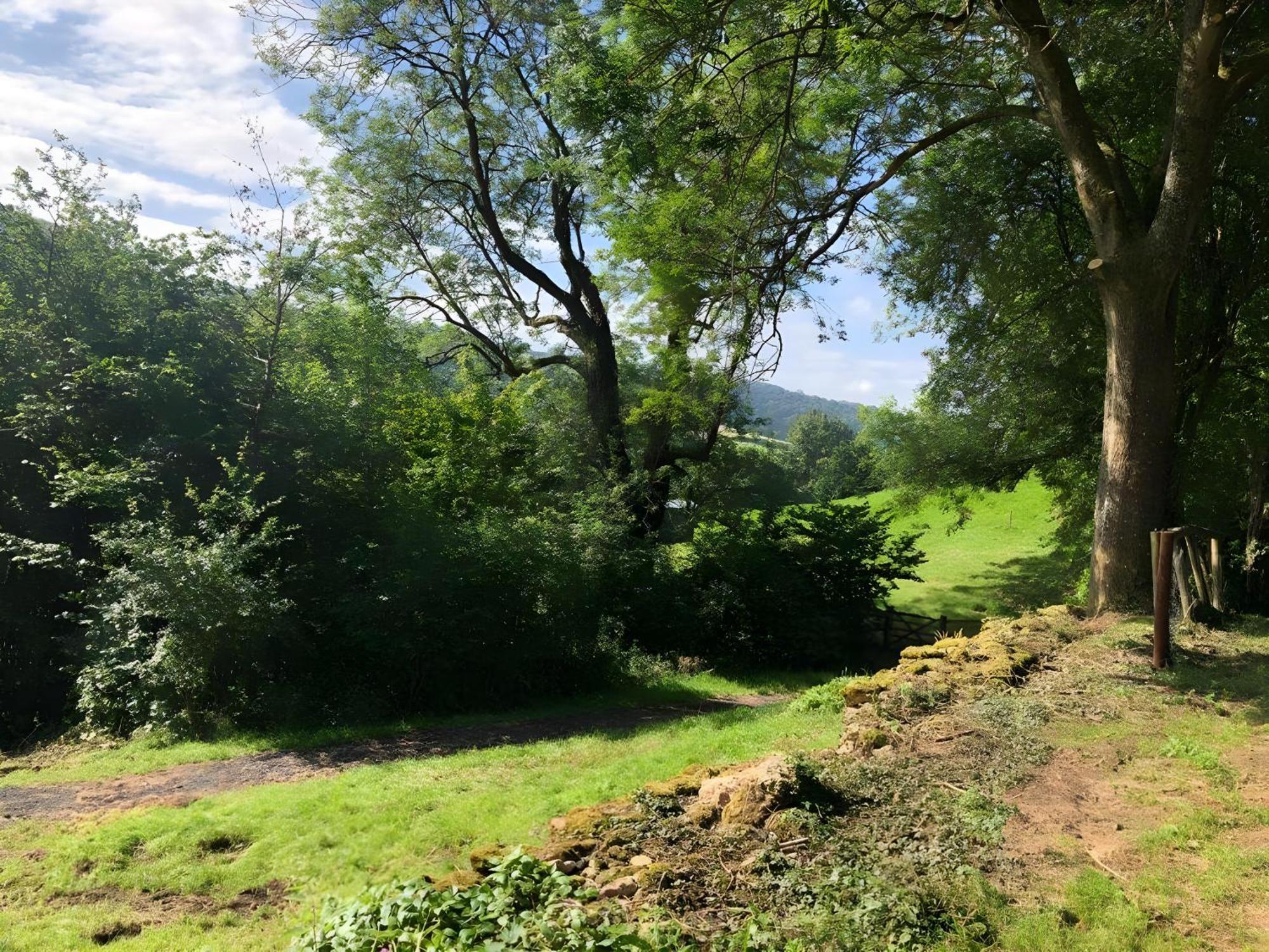 The Spring Slad Valley Cotswolds * Painswick