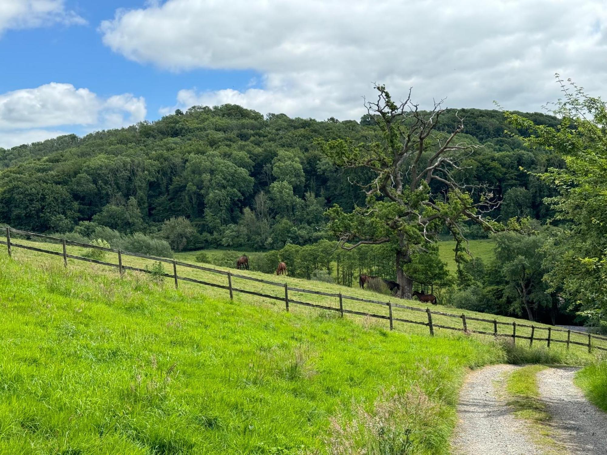 Holiday home The Spring Slad Valley Cotswolds Painswick